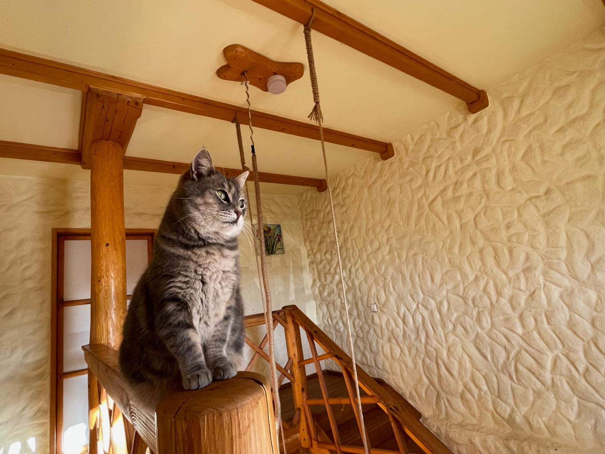 Tisnyi 7 Guest House Kamjanets-Podilskyi Eksteriør billede